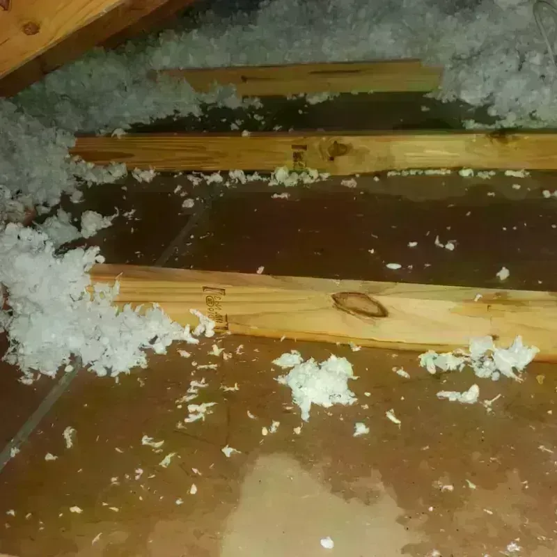 Attic Water Damage in Carmichael, CA