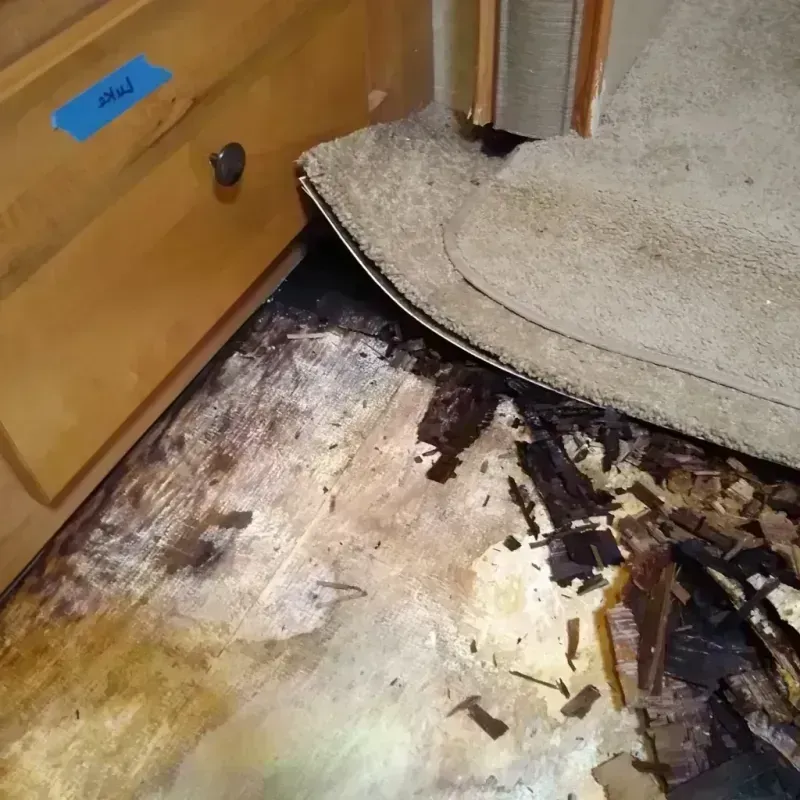 Wood Floor Water Damage in Carmichael, CA